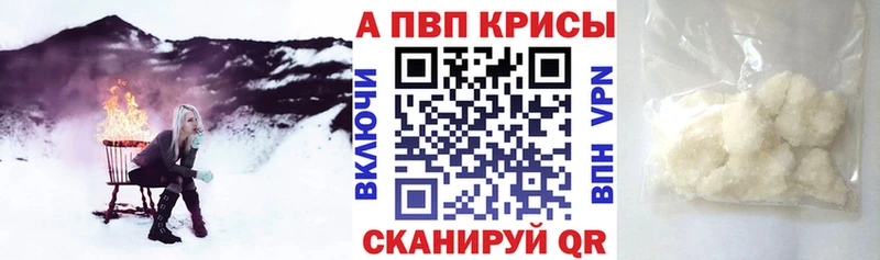 Альфа ПВП СК Великий Новгород
