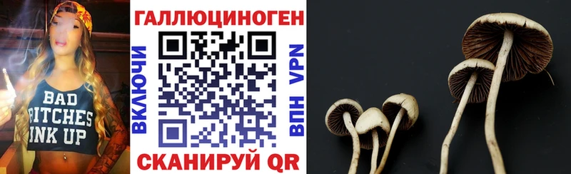магазин  наркотиков  Великий Новгород  блэк спрут рабочий сайт  Галлюциногенные грибы GOLDEN TEACHER 