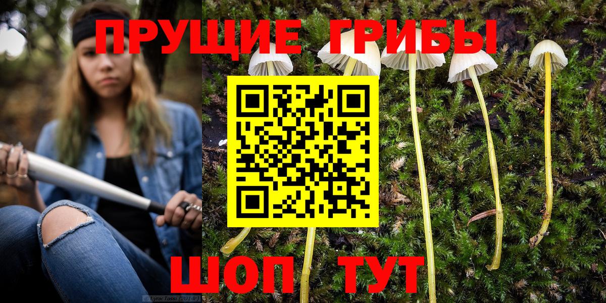 Псилоцибиновые грибы ЛСД  Вход с VPN  Великий Новгород 