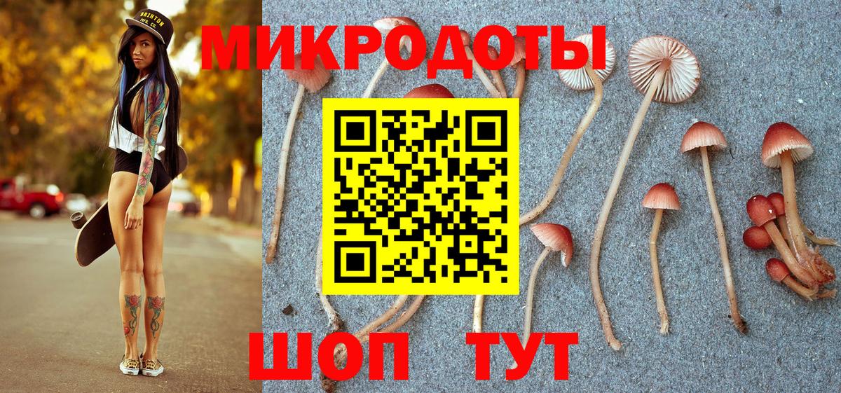 Галлюциногенные грибы Magic Shrooms Великий Новгород