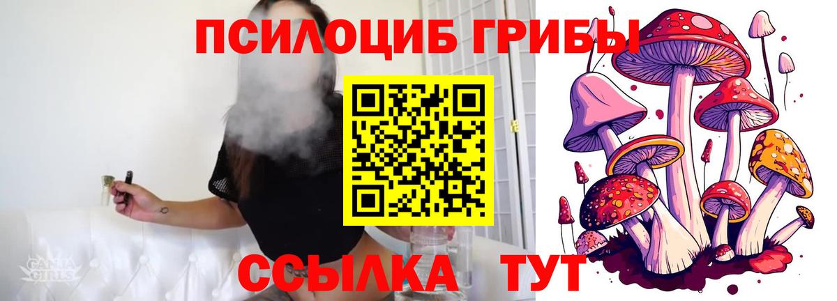 Галлюциногенные грибы GOLDEN TEACHER  дарнет шоп  Великий Новгород  Псилоцибиновые грибы мицелий 